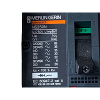 Merlin Gerin Compact NS Leistungsschalter NS250N