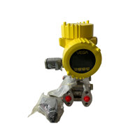 VEGA VEGADIF 65 Differenzdruckmessumformer DF65.XXD1A7FHDWBX7