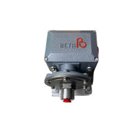 Beta C1-P302L-S1B-B1-G1 Druckwächter