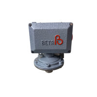 Beta C1-P302L-S1B-B1-G1 Druckwächter