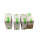 Spelsberg AKi 2-t Leergehäuse 300 x 300 x 150 mm