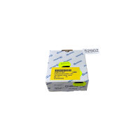 Gestra 42427757 Rückschlagventil RK86A DN32 PN40