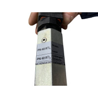 GESTRA ER 16-1 - PN 40 - R 3/4 Niveauelektrode