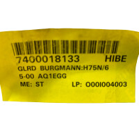 EagleBurgmann H75N65-00 AQ1EGG Gleitringdichtung