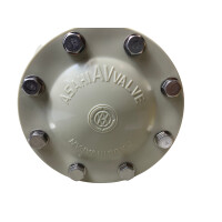 ASAHI AV Rückschlagklappe 50mm 2299633-370
