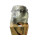 ASAHI AV Rückschlagklappe 50mm 2299633-370