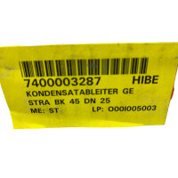 Gestra BK 45 DN25 1 Zoll PN40 Dampfableiter