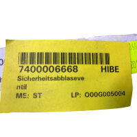 RMG 835-1-F7 Sicherheitsabblaseventil