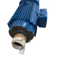 Demag 10,00 Kw GCH 140 D2/T105 Motor