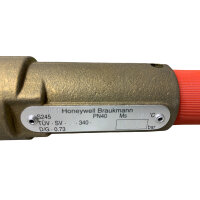 Honeywell Riegler S245B-3/4 Sicherheitsventil 1,0 bar...