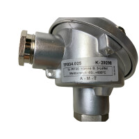 A-M-T TF034.025 K-29298 Widerstandsthermometer Pt100
