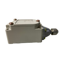Omron WLD3 Industrie-Endschalter