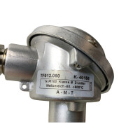 A-M-T TF012.050 K-40156 Widerstandsthermometer Pt100