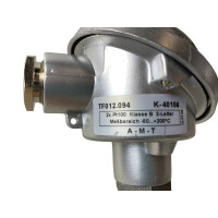 A-M-T TF012.094 K-40156 Widerstandsthermometer 2xPt100