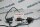 Johnson Controls EP-0202-7194 Pilotventil Ventil
