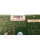 Bystronic E4009-5-B cmSSIASI 10001111 R.01 Platin Karte