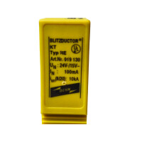DEHN Blitzductor KT Typ RE Schutzmodul 919130...
