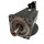 Rexroth MSK071D-0300-NN-M1-UG1-NNNN R911310168 Servomotor