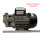 SIMACO Elettromeccanica 386439 Kreiselpumpe