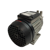 Speck Pumpen 28536 Y-2951.0020 Kreiselpumpe