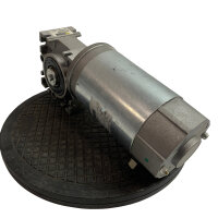 Walther Flender MI30 80/1 Schneckengetriebemotor