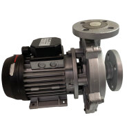 Speck Pumpen ME-125-M.0001 Kreiselpumpe Pumpe