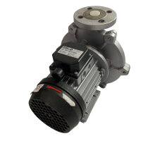 Speck Pumpen ME-125-M.0001 Kreiselpumpe Pumpe