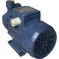 Pedrollo TK 80 Kreiselpumpe 0,5 HP 2 bis 14l min