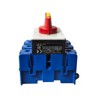 Kraus & Naimer KG100 Lasttrennschalter mit Not-Aus-Funktion C58170 / F01644/022 DES