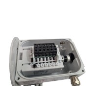 Stromag 51_17.5_BMH_699_G Getriebe-Endschalter 0000029