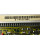 Siemens 6SE7090-0XX84-0BJ0 Steuerplatine 475418900010 Simovis