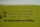 PILZ   PA-1PK/180Min 482962 Relais Sicherheitsrelais