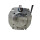 Dunkermotoren BG 65x50 Getriebemotor PLG 63SP 40V 186W