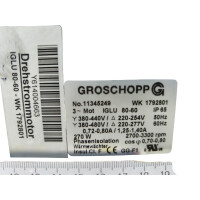 Groschopp IGLU 80-60 Drehstrom Getriebemotor 270W IP65 WK1792801