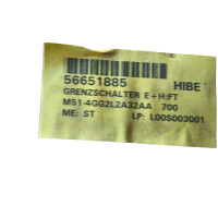 Endress+Hauser SOLIPHANT M Vibrations-Grenzschalter FTM51-4GG2L2A32AA
