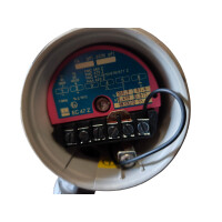 Endress+Hauser TSP 6667 Füllstandssensor T6667-G1A1KHX0