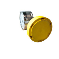 WIKA 233.50.100 Manometer Druckmessgerät 0-10 bar 100mm 14278431