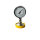 WIKA 233.50.100 Manometer Druckmessgerät 0-10 bar 100mm 14278431