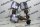 SAUTER DFC 17B 36 F111 Druckschalter DFC17B63F111