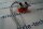 2 X  Litton P47461B Potentiometer P47461B(2)