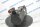 AMK DT7-72-20-F0W 1.00 Servomotor DT77220F0W 17,4KW